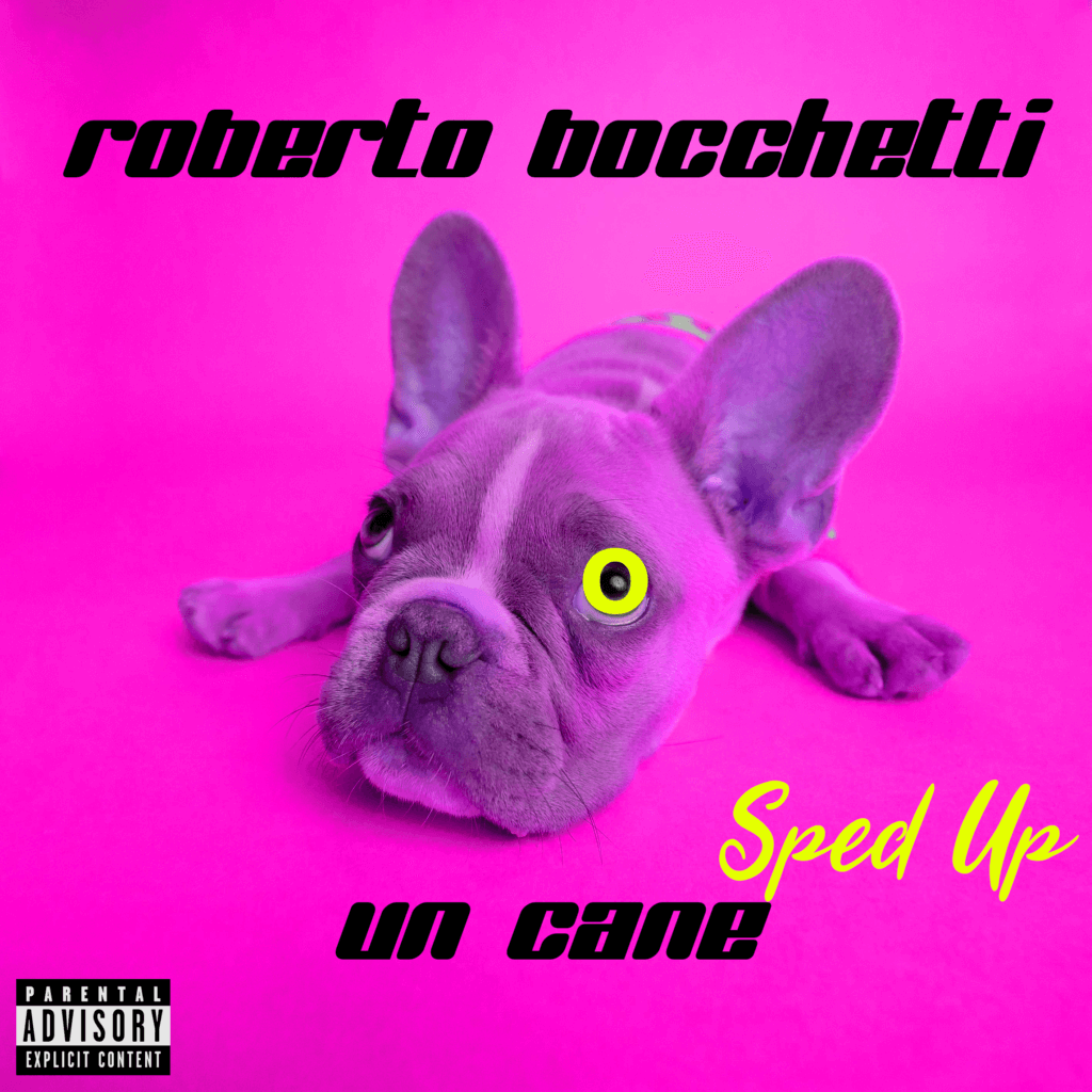 Ascolta / Scarica "Un cane (Sped Up)" di Roberto Bocchetti