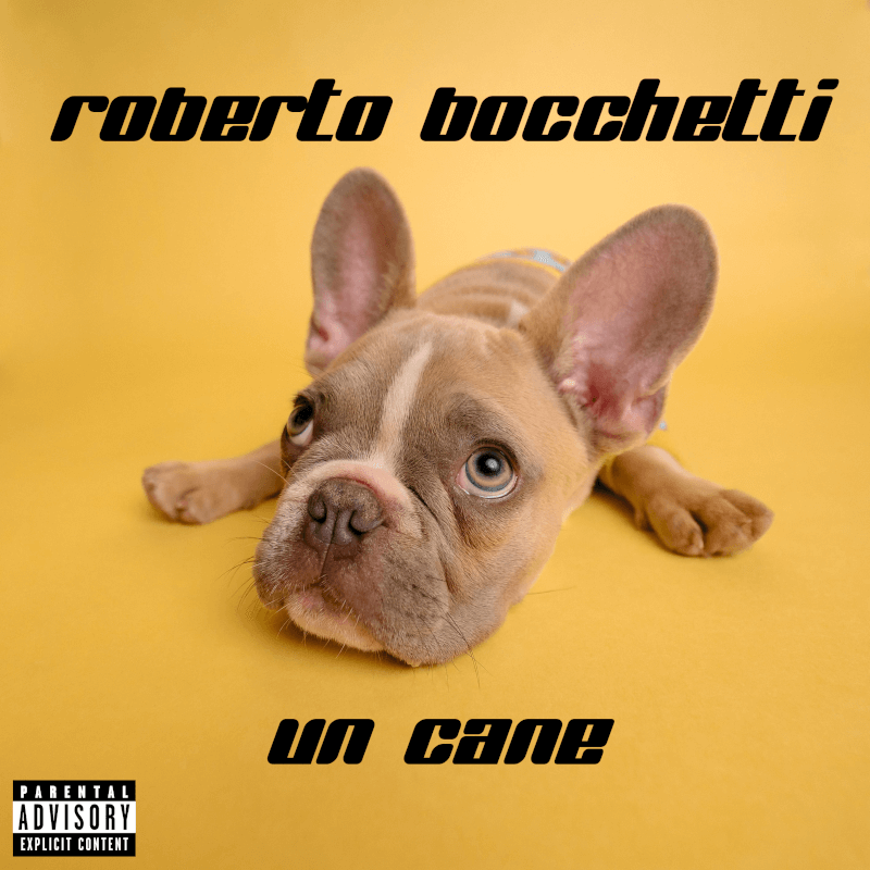 "Un cane" è il singolo di Roberto Bocchetti in esclusiva per minkiaroby.it